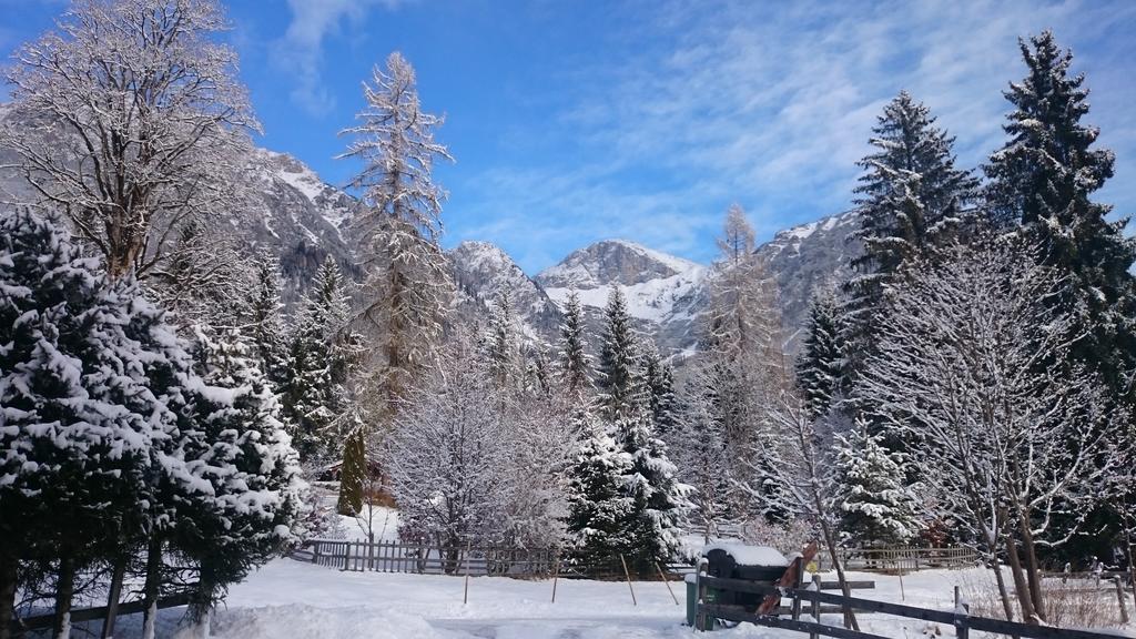 Pension Hofweyer Ramsau am Dachstein Eksteriør bilde